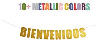 BANNER PERSONAJE GAEL  (copia)